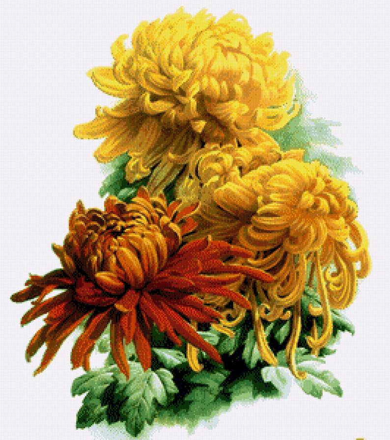 №781126 - предпросмотр