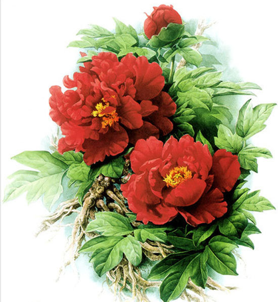 №781128 - оригинал