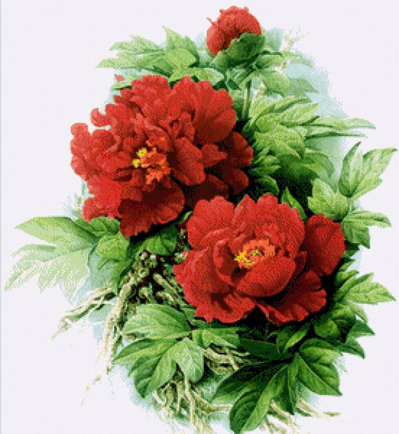 №781128 - предпросмотр