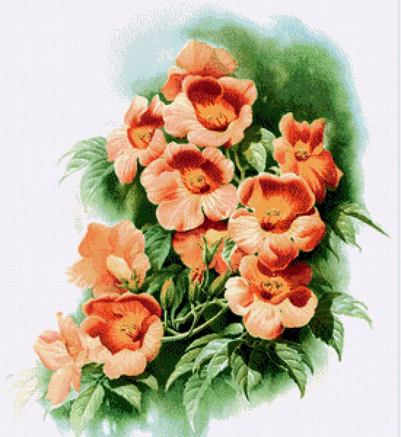 №781129 - предпросмотр