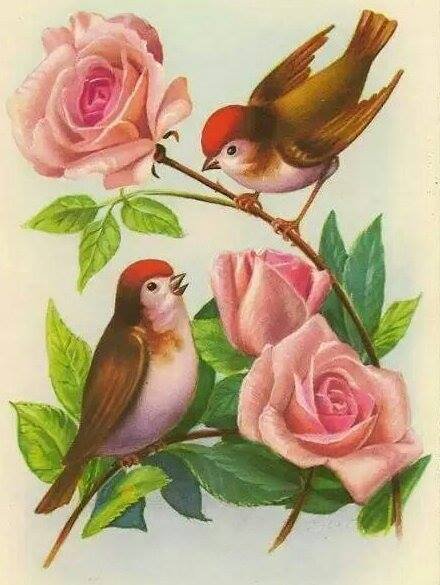 №781153 - оригинал