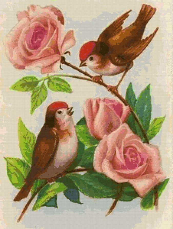 №781153 - предпросмотр