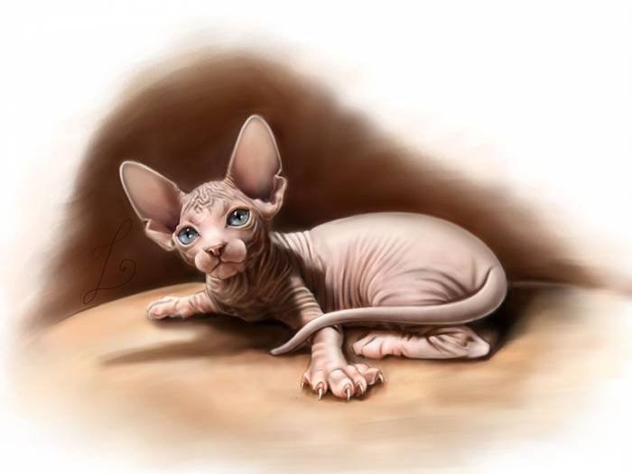 №781229 - оригинал