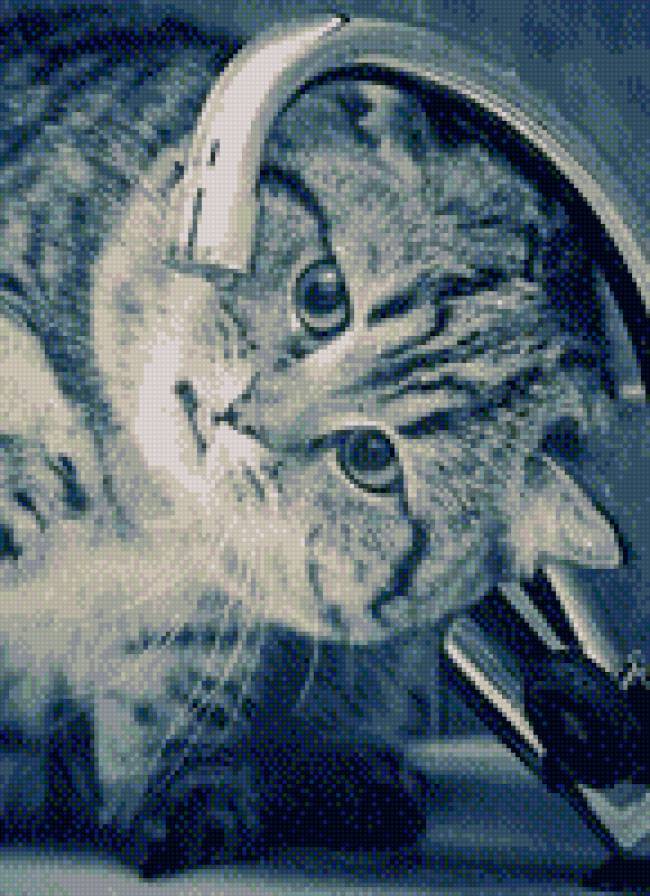 котик - предпросмотр