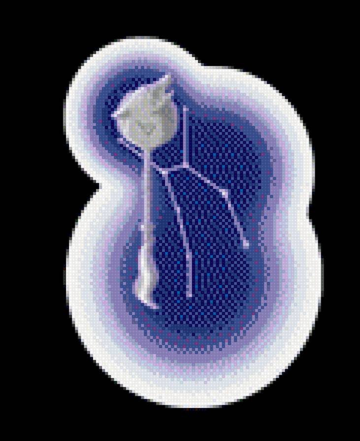 №781271 - предпросмотр