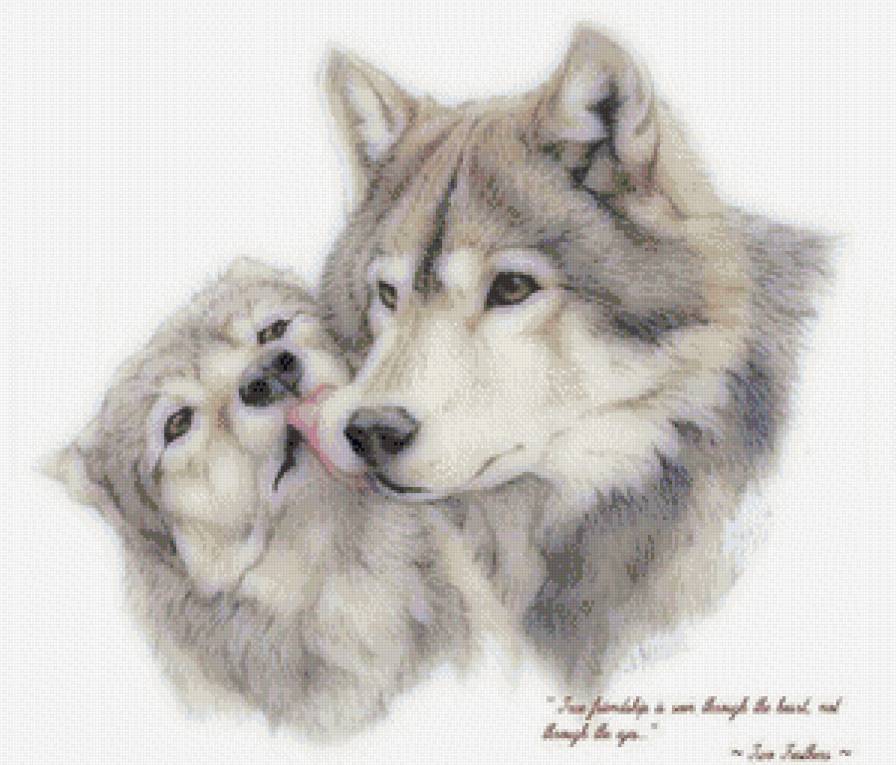 волки - дикие животные, волк - предпросмотр