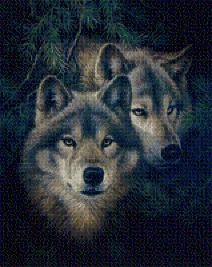 волки - пара волков - предпросмотр