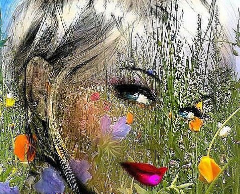 Summer - оригинал