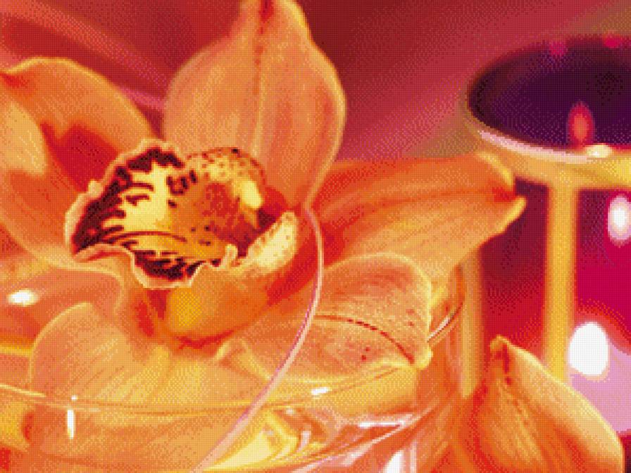 №781491 - цветы - предпросмотр