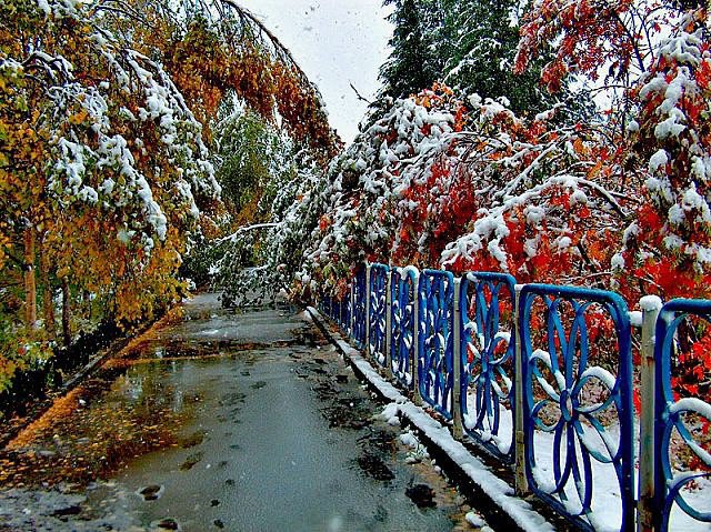 встреча осени и зимы - лес, зима, снег, природа - оригинал