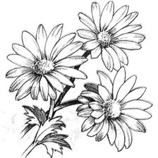 Схема вышивки «маргаритки»