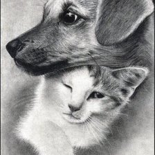 Оригинал схемы вышивки «собачка с кошкой» (№781690)