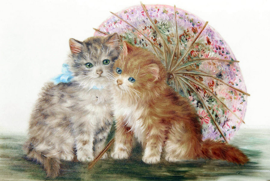 катята - оригинал