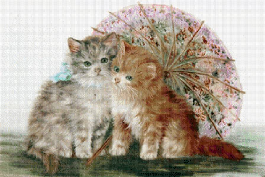 катята - предпросмотр