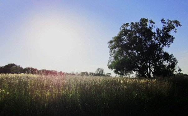 лето - оригинал