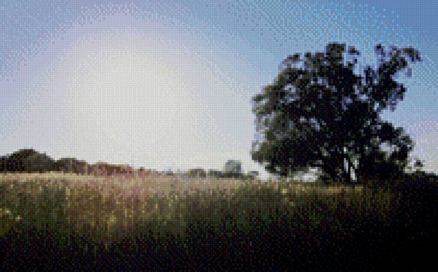 лето - предпросмотр