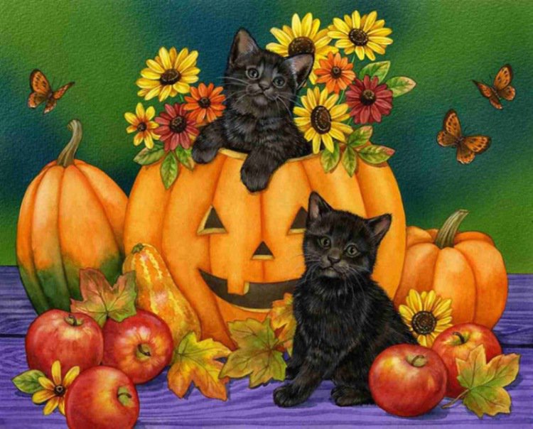 №781818 - котики - оригинал