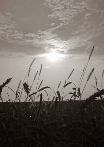 пейзаж - оригинал