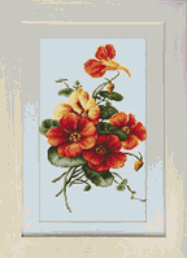 №781923 - предпросмотр