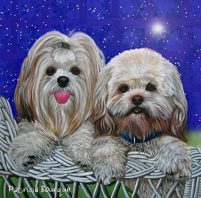 собачки - собаки - оригинал