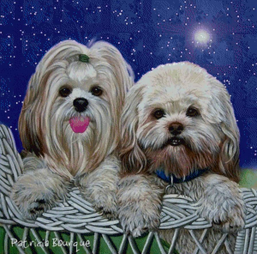 собачки - собаки - предпросмотр