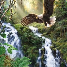 Схема вышивки «№782054»