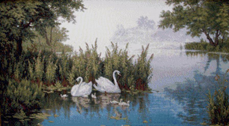 лебеди - лебеди, озеро - предпросмотр