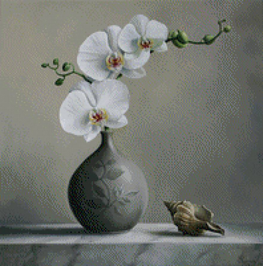 орхидея - ракушка, натюрморт, орхидея, серый, ваза - предпросмотр