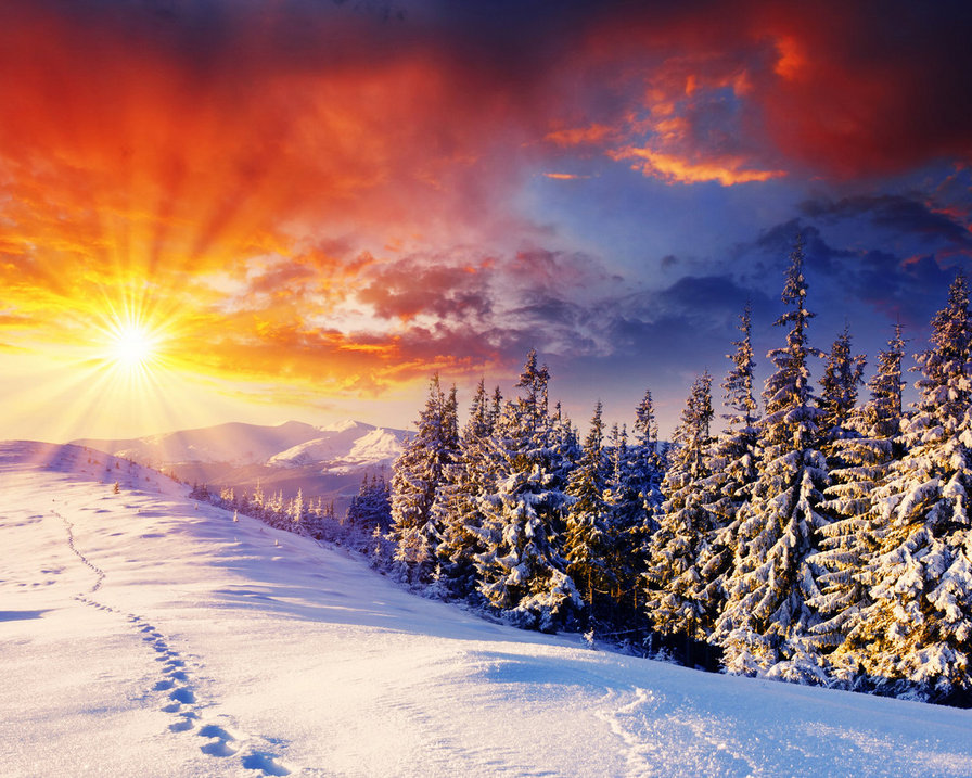 зимняя сказка - зима, восход, солнце, времена года, снег, облака, лес - оригинал