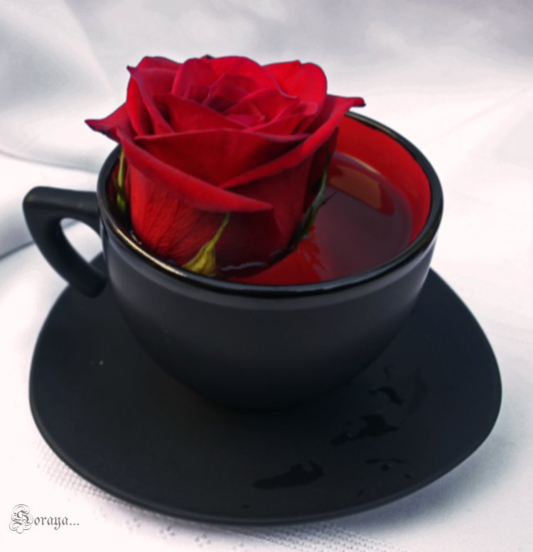 чай из розы - на кухню - оригинал