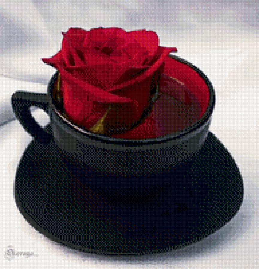 чай из розы - на кухню - предпросмотр