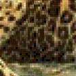 Предпросмотр схемы вышивки «Любовь леопардов» (№782564)