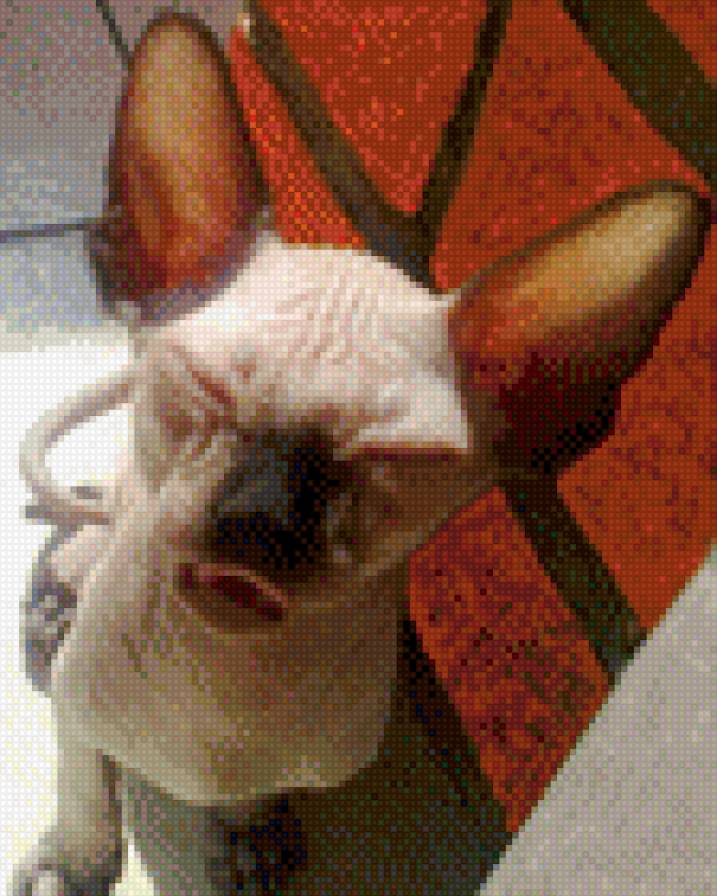 Минилепа - предпросмотр