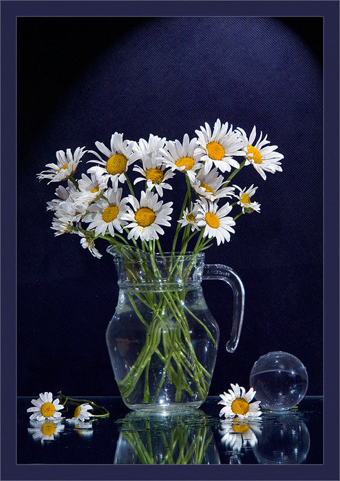 Ромашки - оригинал