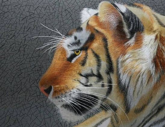 тигр - тигр, животные - оригинал