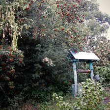 Схема вышивки «колодец»