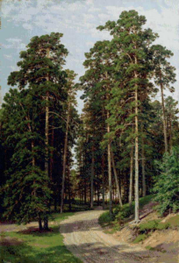 Сосновый лес - живопись, сосны, картина, лес, природа - предпросмотр