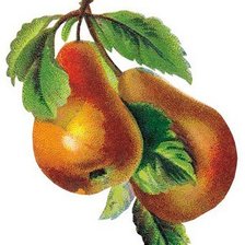 Схема вышивки «№783477»