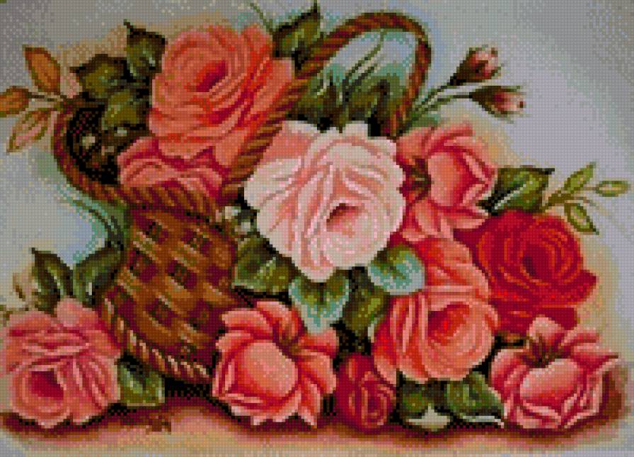 розы - предпросмотр