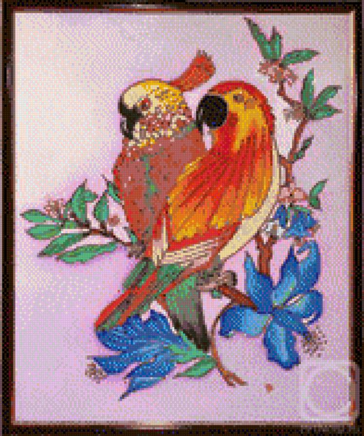 попугайчики - предпросмотр