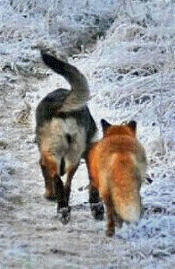 парочка - предпросмотр