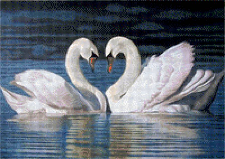 №783970 - предпросмотр