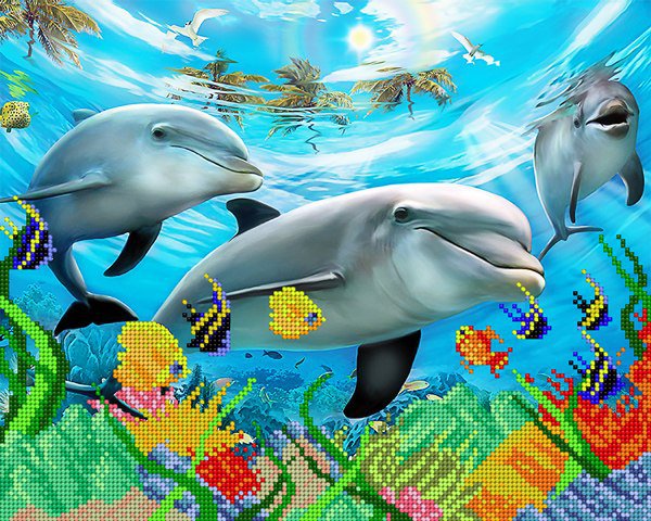 дельфины - животные, дельфины, море, рыбки - оригинал