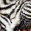 Предпросмотр схемы вышивки «тигры» (№784193)