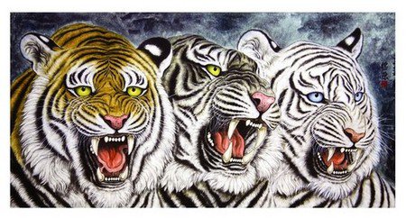тигры - дикие животные, тигр - оригинал