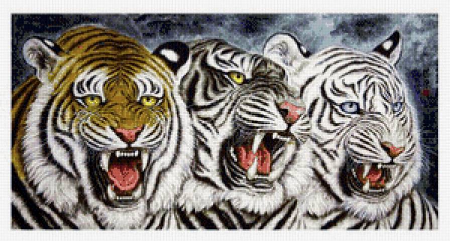 тигры - дикие животные, тигр - предпросмотр