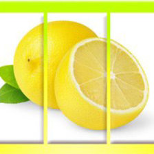 Схема вышивки «лимон три части»