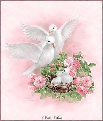 голубинная семья - семья, голуби, птенцы, гнездо - оригинал