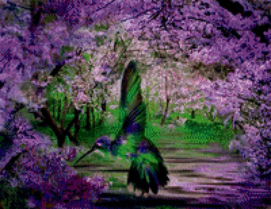 калибри - калибри, птичка - предпросмотр