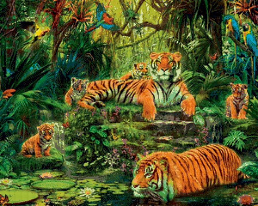 тигринная семья - тигры - предпросмотр